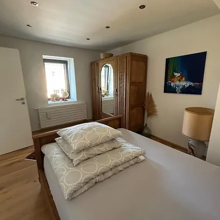 Spacious House Next Kirchberg-centre With Parking Villa