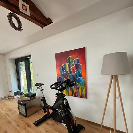 Spacious House Next Kirchberg-centre With Parking