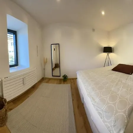 Villa Spacious House Next Kirchberg-centre With Parking
