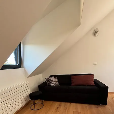 Spacious House Next Kirchberg-centre With Parking *