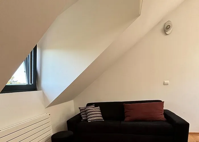 Spacious House Next Kirchberg-centre With Parking *